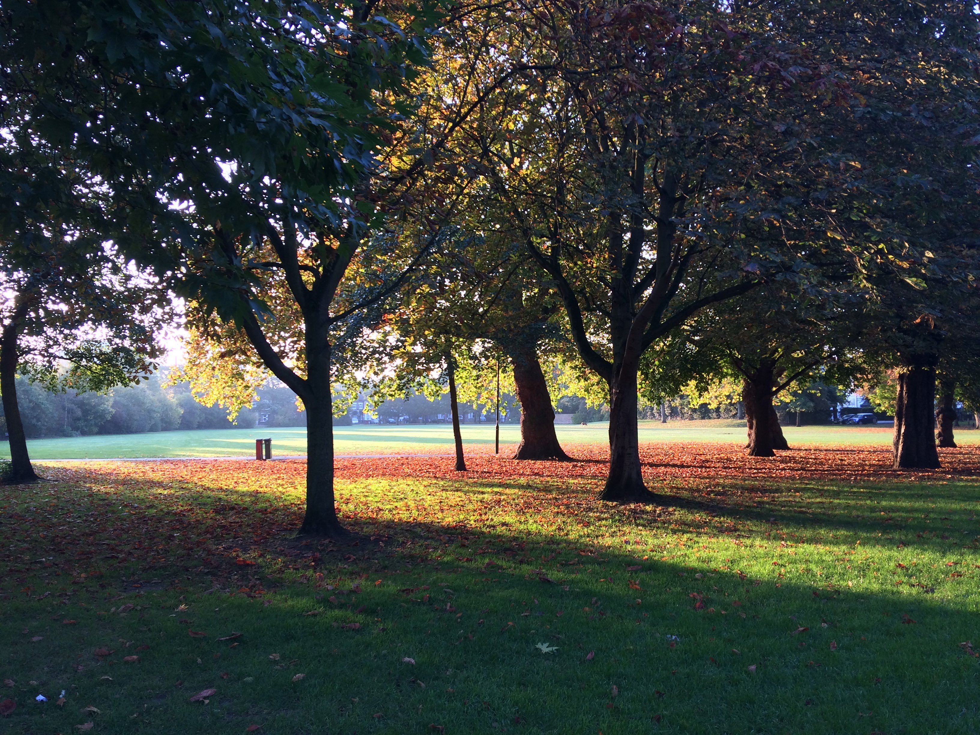 Spencer Park Wandsworth